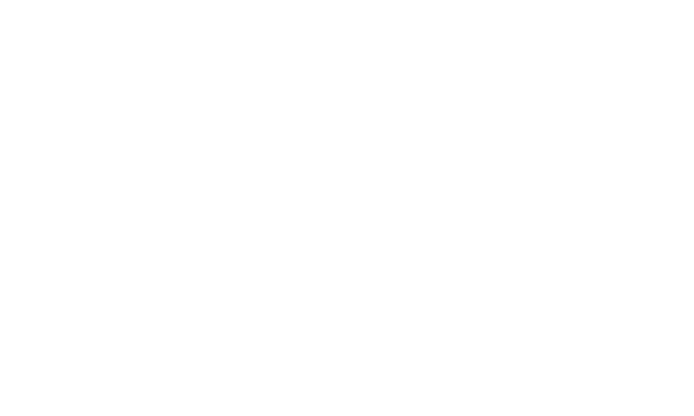 Budy Software Solutions
